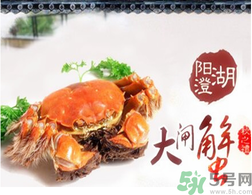 陽澄湖大閘蟹為什么出名？陽澄湖大閘蟹出名的原因
