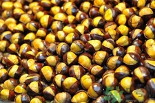 吃栗子會(huì)胖嗎？栗子吃多了會(huì)怎樣？