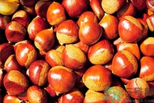 吃栗子會(huì)胖嗎？栗子吃多了會(huì)怎樣？