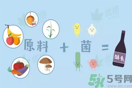 酵素什么時候吃最減肥？酵素減肥有用嗎？