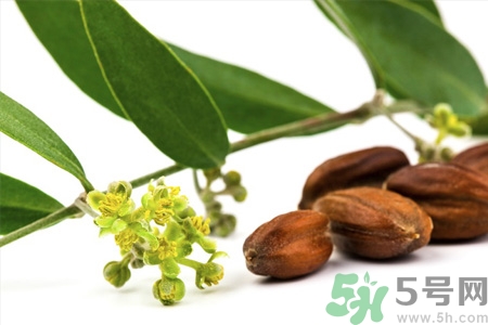 荷荷巴油可以直接擦臉嗎？荷荷巴油怎么去黑頭？