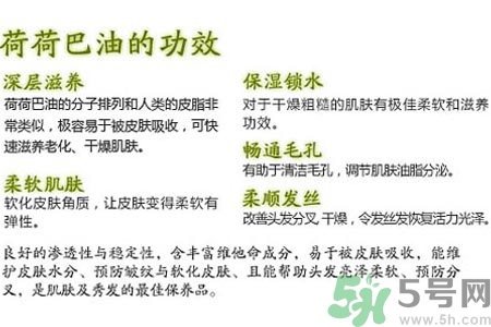 荷荷巴油可以直接擦臉嗎？荷荷巴油怎么去黑頭？