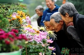 重陽(yáng)節(jié)是陰歷還是陽(yáng)歷？重陽(yáng)節(jié)是什么意思？