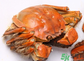 河蟹死了一天能吃嗎？河蟹死了多久不能吃？
