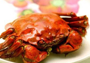 陽(yáng)澄湖大閘蟹哪里買？哪里能買到正宗的陽(yáng)澄湖大閘蟹？