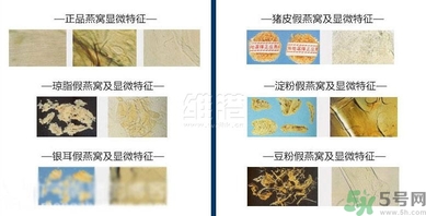 去香港買燕窩哪里好？香港哪里買燕窩比較好正宗？