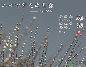 寒露是什么意思？寒露是幾月幾日