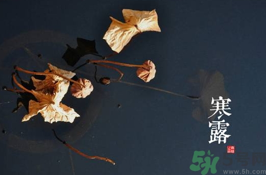 寒露是什么意思？寒露是幾月幾日