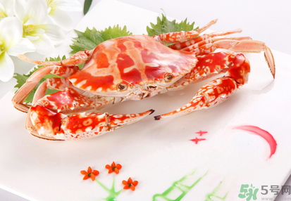 梭子蟹和花蟹的區(qū)別？梭子蟹和花蟹哪個好吃？