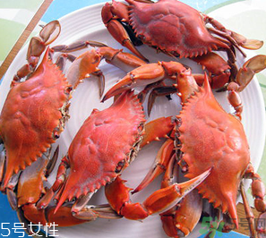 梭子蟹和飛蟹的區(qū)別？飛蟹是梭子蟹嗎？