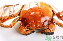 螃蟹變紫色還能吃嗎?螃蟹變紫色可以吃嗎? 螃蟹變紫色還能吃嗎?螃蟹變紫色可以吃嗎?