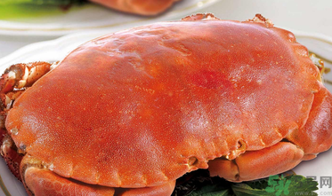 面包蟹死了還能吃嗎？面包蟹死了多久還能吃？