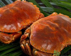 面包蟹死了還能吃嗎？面包蟹死了多久還能吃？