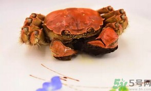 珍寶蟹和面包蟹的區(qū)別？珍寶蟹和面包蟹哪個好吃？