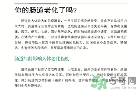 引起腸道老化的原因是什么？四種人腸道老化快