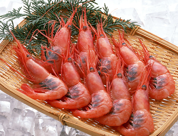 海蝦煮多長時間熟？海蝦怎么煮？