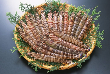 海蝦煮多長時間熟？海蝦怎么煮？