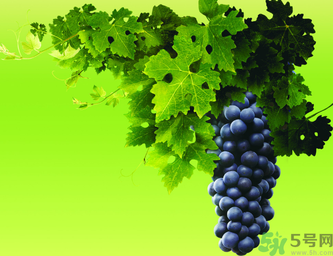 晚上吃葡萄好嗎？晚上吃葡萄好不好？