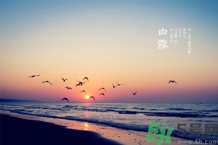 白露節(jié)吃什么？白露節(jié)的傳統(tǒng)美食有哪些？