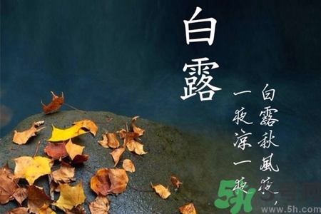 白露節(jié)吃什么？白露節(jié)的傳統(tǒng)美食有哪些？