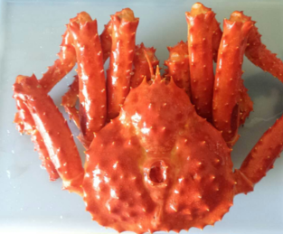 智利帝王蟹怎么吃？智利帝王蟹好吃嗎？