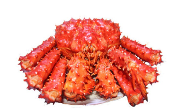 智利帝王蟹怎么吃？智利帝王蟹好吃嗎？