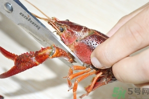 活蝦怎么處理干凈蝦線？活蝦怎么去蝦線？