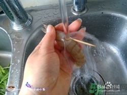 活蝦怎么處理干凈蝦線？活蝦怎么去蝦線？