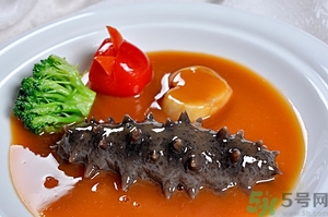 活海參怎么處理保存？活海參怎么處理才能吃？