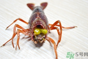 活蝦怎么處理干凈蝦線？活蝦怎么去蝦線？