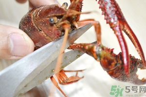 活蝦怎么處理干凈蝦線？活蝦怎么去蝦線？