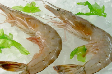 海蝦怎么保存？活海蝦怎么保存？