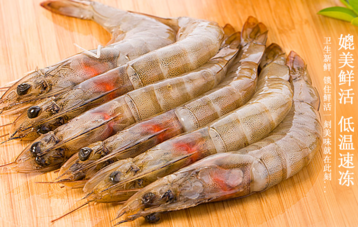 海蝦怎么保存？活海蝦怎么保存？