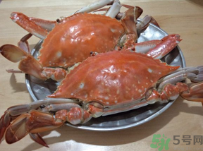 海蟹蒸多長時(shí)間？海蟹蒸多長時(shí)間最好吃？