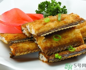 帶魚是發(fā)物嗎？手術(shù)后可以吃帶魚嗎？