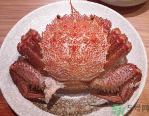 紅毛蟹怎么吃？紅毛蟹怎么做好吃？