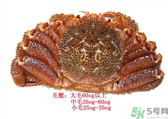 毛蟹蒸多長時間？毛蟹蒸多久會熟？