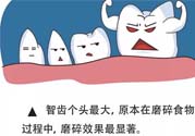 智齒拔了好不好？智齒能不拔嗎？