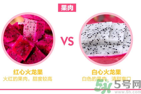 ?火龍果紅心好還是白心好？紅心火龍果和白心火龍果的區(qū)別