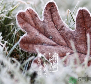 霜降出生的孩子好嗎？霜降出生的寶寶怎么取名？