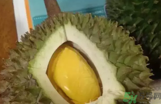 榴蓮吃多了會(huì)怎么樣？榴蓮吃多了好嗎？