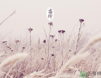 霜降為什么要吃柿子？霜降吃柿子有什么好處？