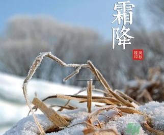 霜降為什么要吃柿子？霜降吃柿子有什么好處？