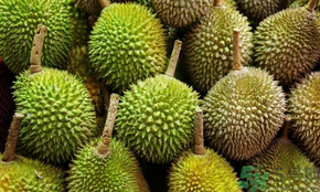 榴蓮可以冷凍保存嗎？榴蓮放冰箱是冷藏還是冷凍？