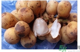 椰色果的功效作用 椰色果怎么吃？