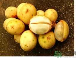 椰色果的功效作用 椰色果怎么吃？