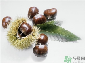 老人能喝板栗酒嗎？板栗怎么泡酒呢？