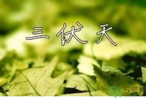 三伏天可以理發(fā)嗎？三伏天為什么不能理發(fā)？