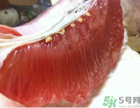 剝開的柚子能放冰箱嗎？柚子肉可以放冰箱嗎？