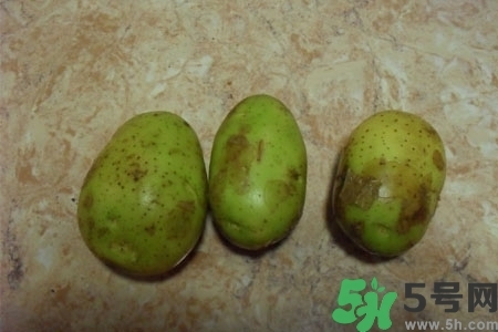 土豆發(fā)綠還能吃嗎？土豆發(fā)綠皮削皮后能吃嗎？